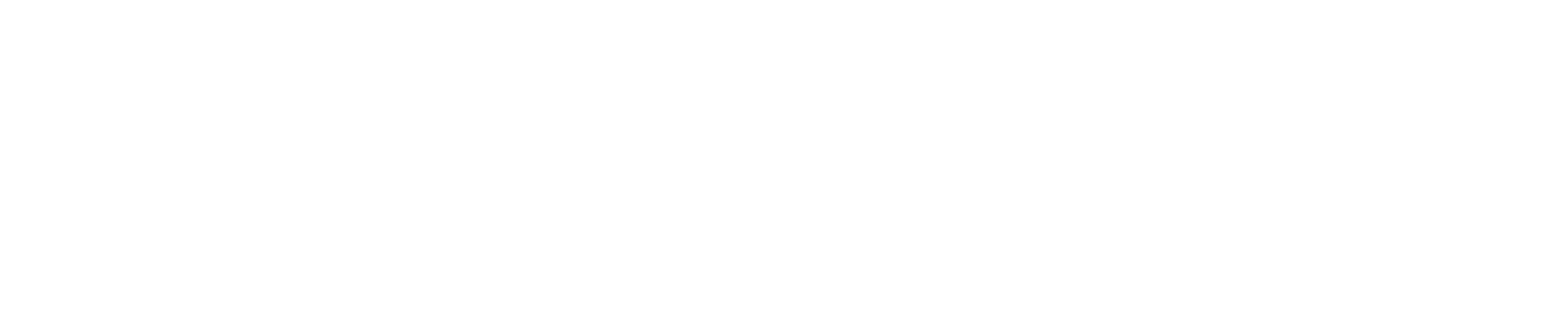 ЛОГО_БТ_БЕЛЫЙ_СЛОГАН_W_NOSLOGAN_NOBG